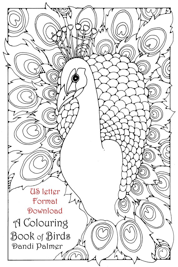 920+ Colouring Book Birds Picture HD