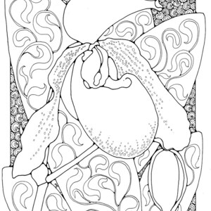 A Colouring Book of Orchids, 42 different pages to download and print out. image 3