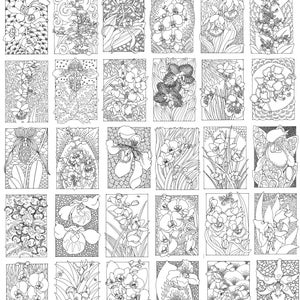 A Colouring Book of Orchids, 42 different pages to download and print out. image 2