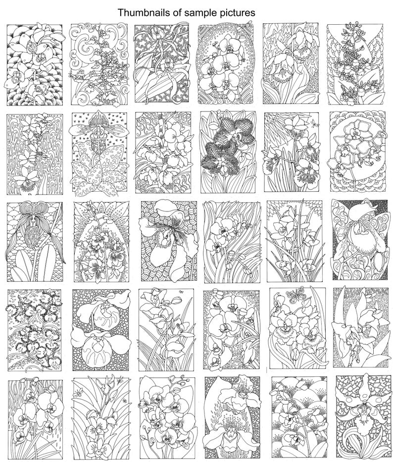 A Colouring Book of Orchids, 42 different pages to download and print out. image 2