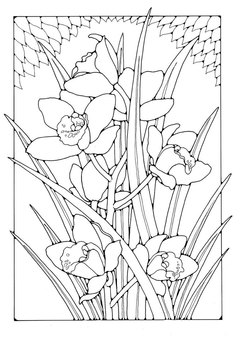 A Colouring Book of Orchids, 42 different pages to download and print out. image 4