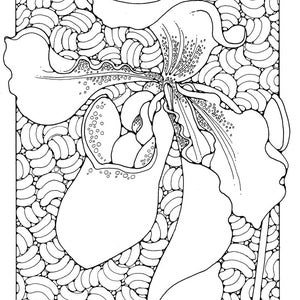 A Colouring Book of Orchids, 42 different pages to download and print out. image 5