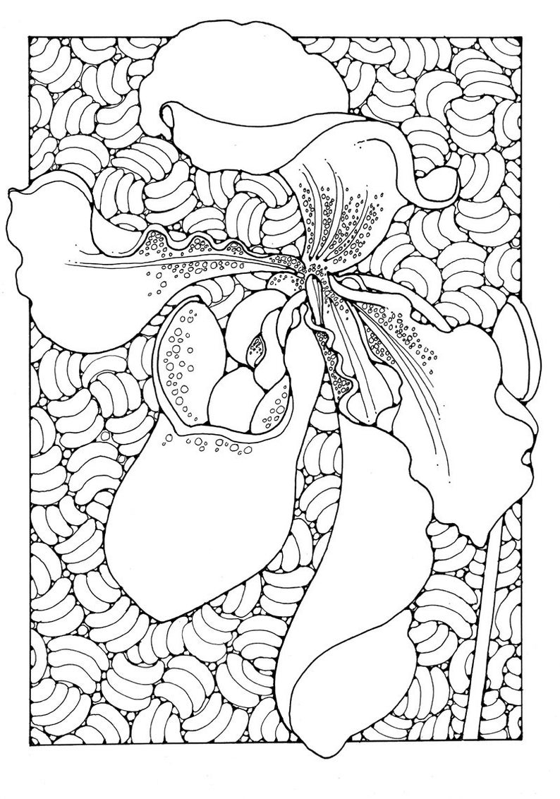 A Colouring Book of Orchids, 42 different pages to download and print out. image 5