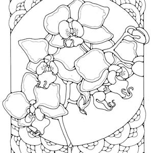 A Colouring Book of Orchids, 42 different pages to download and print out. image 8