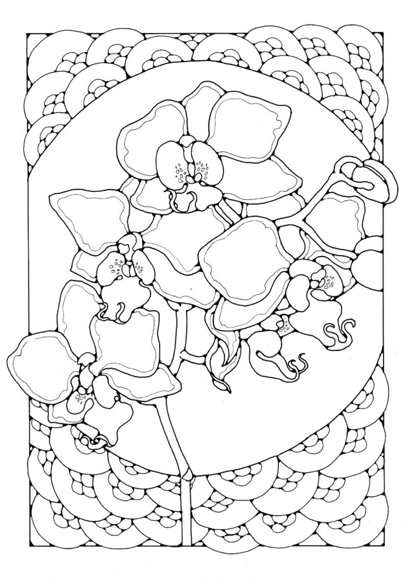 A Colouring Book of Orchids, 42 different pages to download and print out. image 8