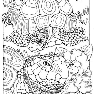 Animals to Colour in US Letter Format 42 Different Pages to - Etsy