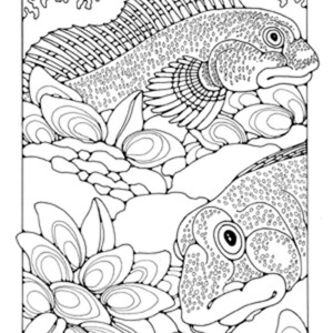 A Water World Colouring Book, 42 Different Pages to Download and Print ...