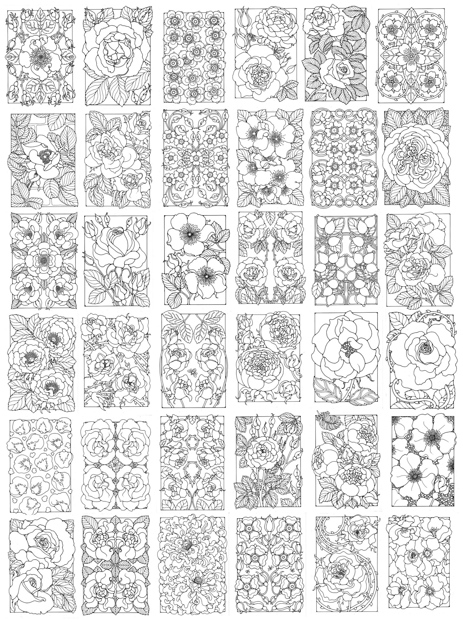 42 Roses A Colouring Book of 42 Roses to Download and Print Out in US Letter ...