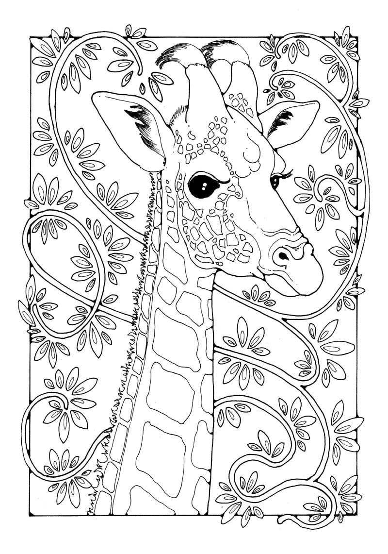 Kitten Cat Coloring Book Page, Adult Coloring Book, Coloring Page, Adult  Coloring Pages, Coloring Book for Adult, Best Selling, Cat Art 