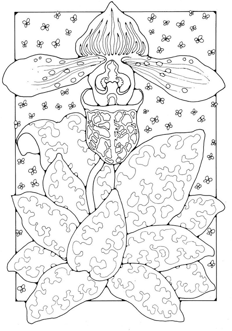A Colouring Book of Orchids, 42 different pages to download and print out. image 10
