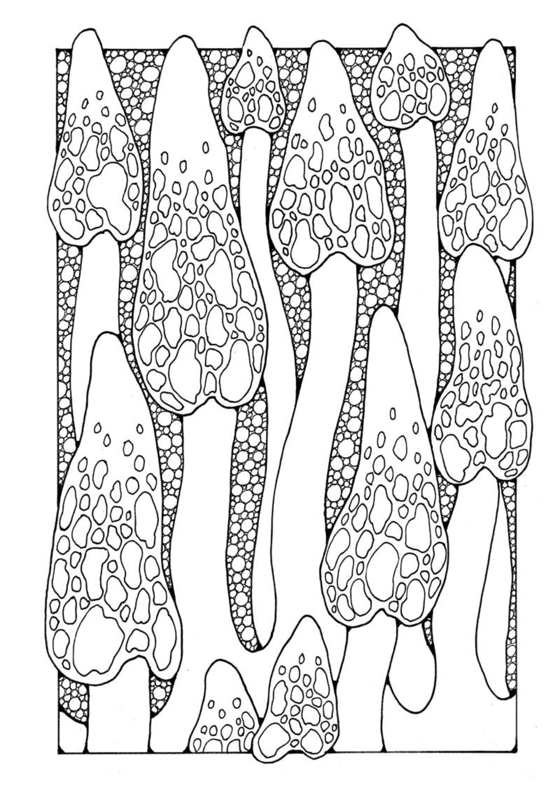 A Colouring Book of 62 Original Pictures and Patterns in US - Etsy