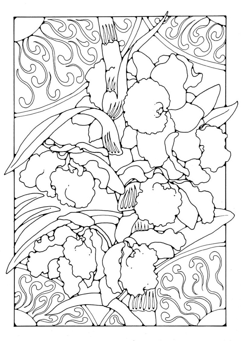 A Colouring Book of Orchids, 42 different pages to download and print out. image 9