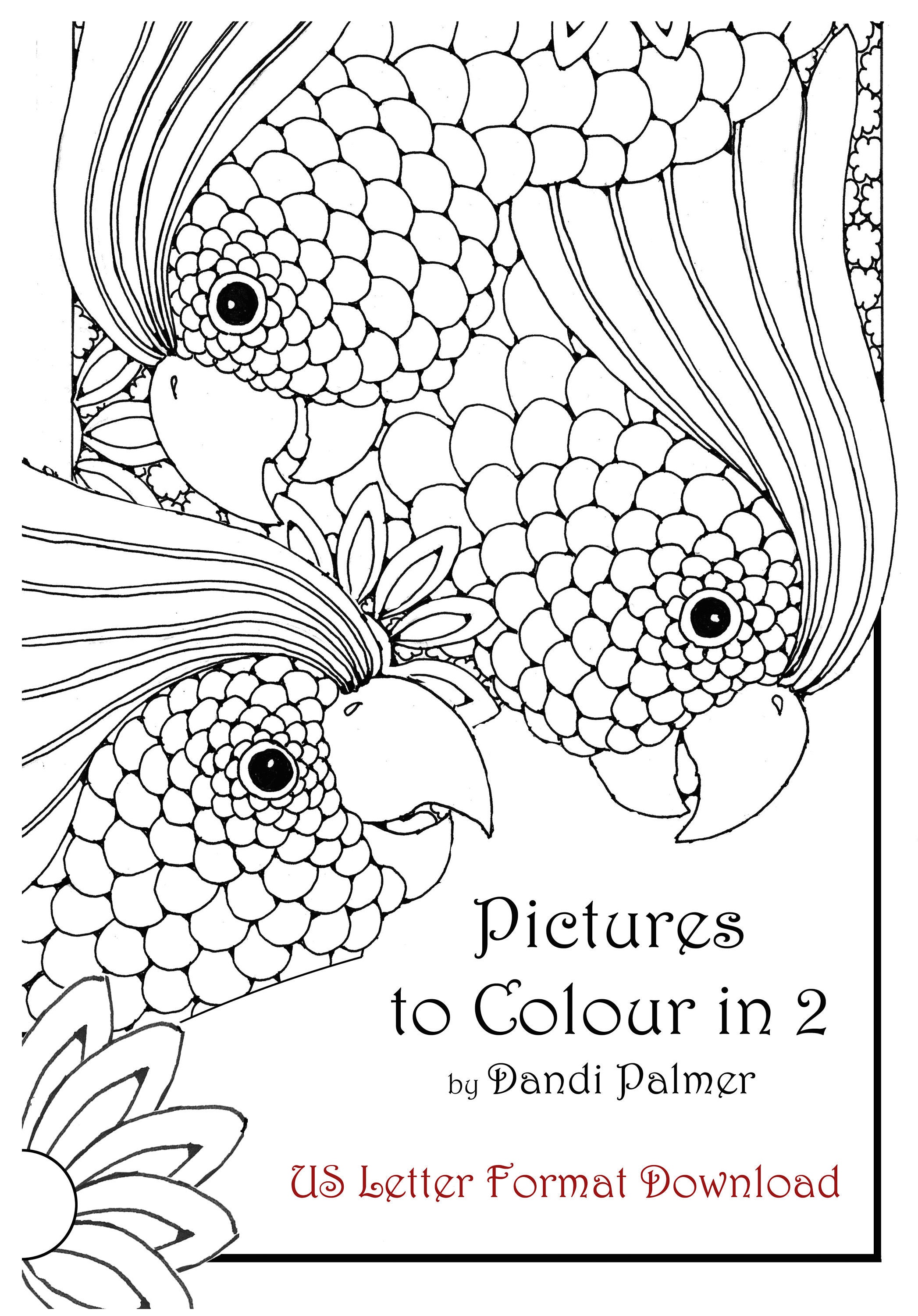 A Second Book of Pictures to Colour 44 Original Designs to - Etsy