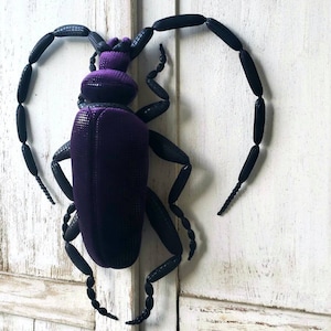 Purple Soft textile sculpture beetle Cerambycidae