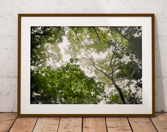 Nature Photography Nature Prints Printable Wall Art Digital Download Nature Photography Home Decor Pine Needles and Rock