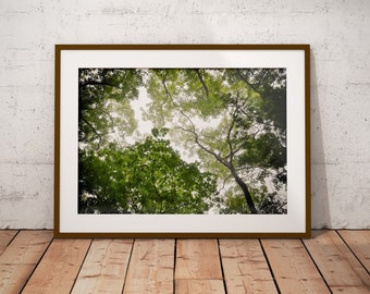 Tree Photography Art, Printable Wall Art, Nature Photography, Instant Download,Botanical Print