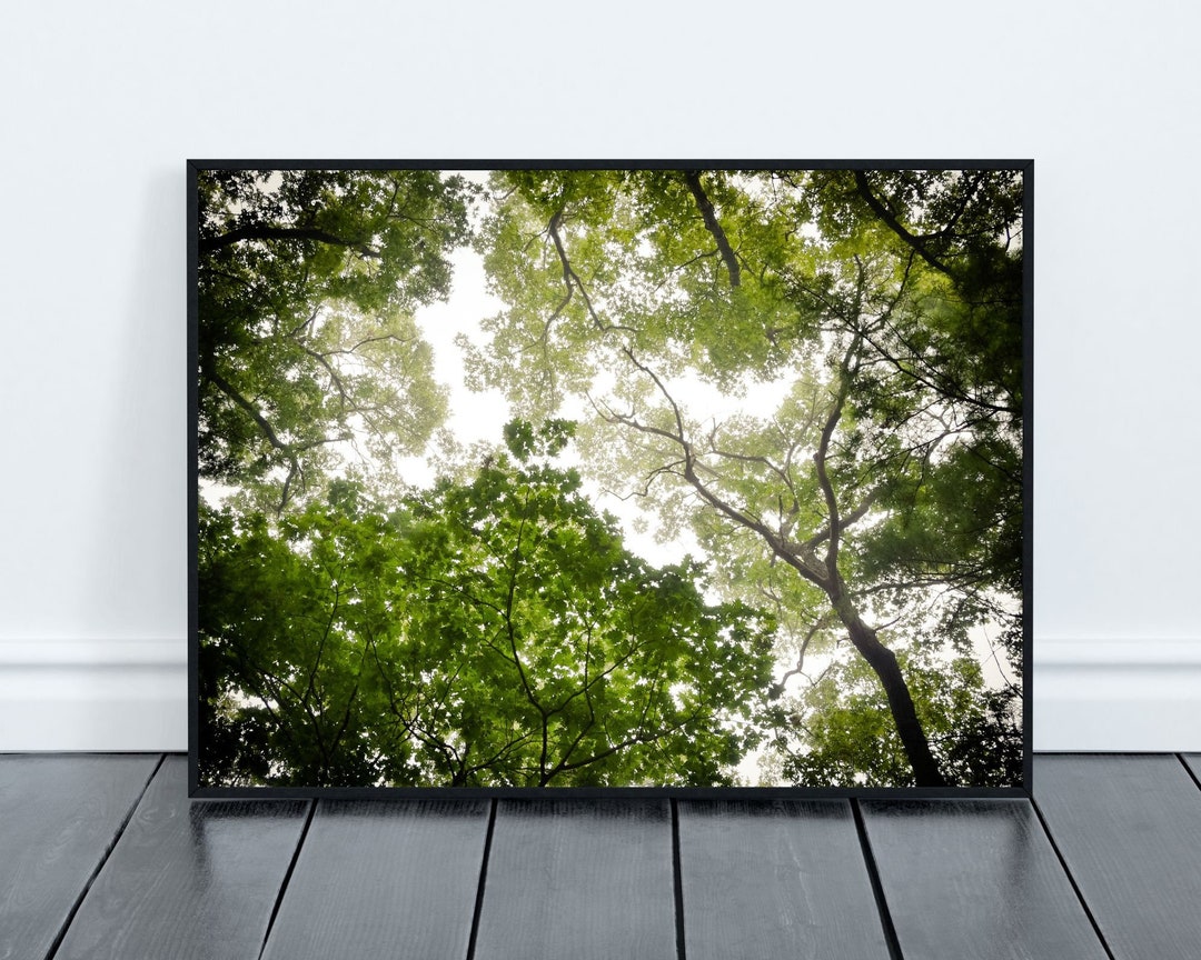 Fine Art Tree Photography Printable Wall Art, Nature Photography ...