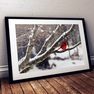 Cardinal Wall Art,Cardinal Wall Decor,Cardinal Rouge dans l’impression de neige,Art imprimable,Photographie de nature,Téléchargement d’art d’hiver