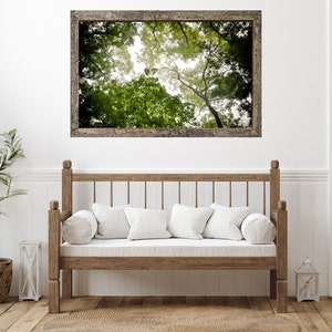 Fine Art Tree Photography Printable Wall Art, Nature Photography ...