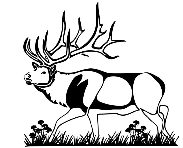 Bugling Elk Etsy