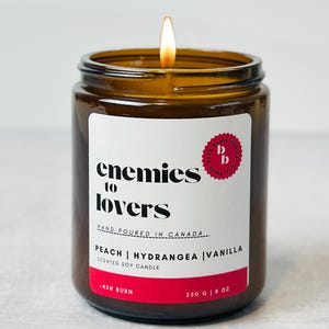 Enemies To Lovers bookish candle | book club gifts | book nook / bookshelf decor