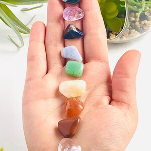 May include: A set of seven chakra stones in a hand. The stones are arranged in a vertical line from top to bottom, starting with black, then purple, blue, green, yellow, orange, and red. The last stone is a clear heart-shaped crystal.