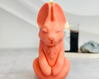 Large Naughty Bad bunny silicone candle mold, Unique candle making molds, Resin molds, Concreate molds, Easter bunny