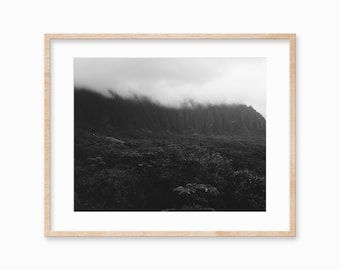 Hawaii Wand Kunst Hawaiian Dekor Wald Fotografie schwarz und weiß Wand Kunst heiter Wand Kunst tropischen Berglandschaft