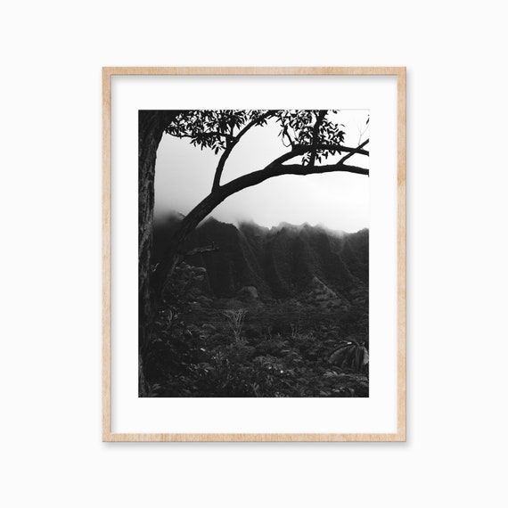Hawaii Wall Art Hawaiian Decor Forest Photography Black And - Hawaii Wall Art Photography Hawaii Wall Art Hawaiian Decor Forest Photography Black And - Hawaii Wall Art Photography