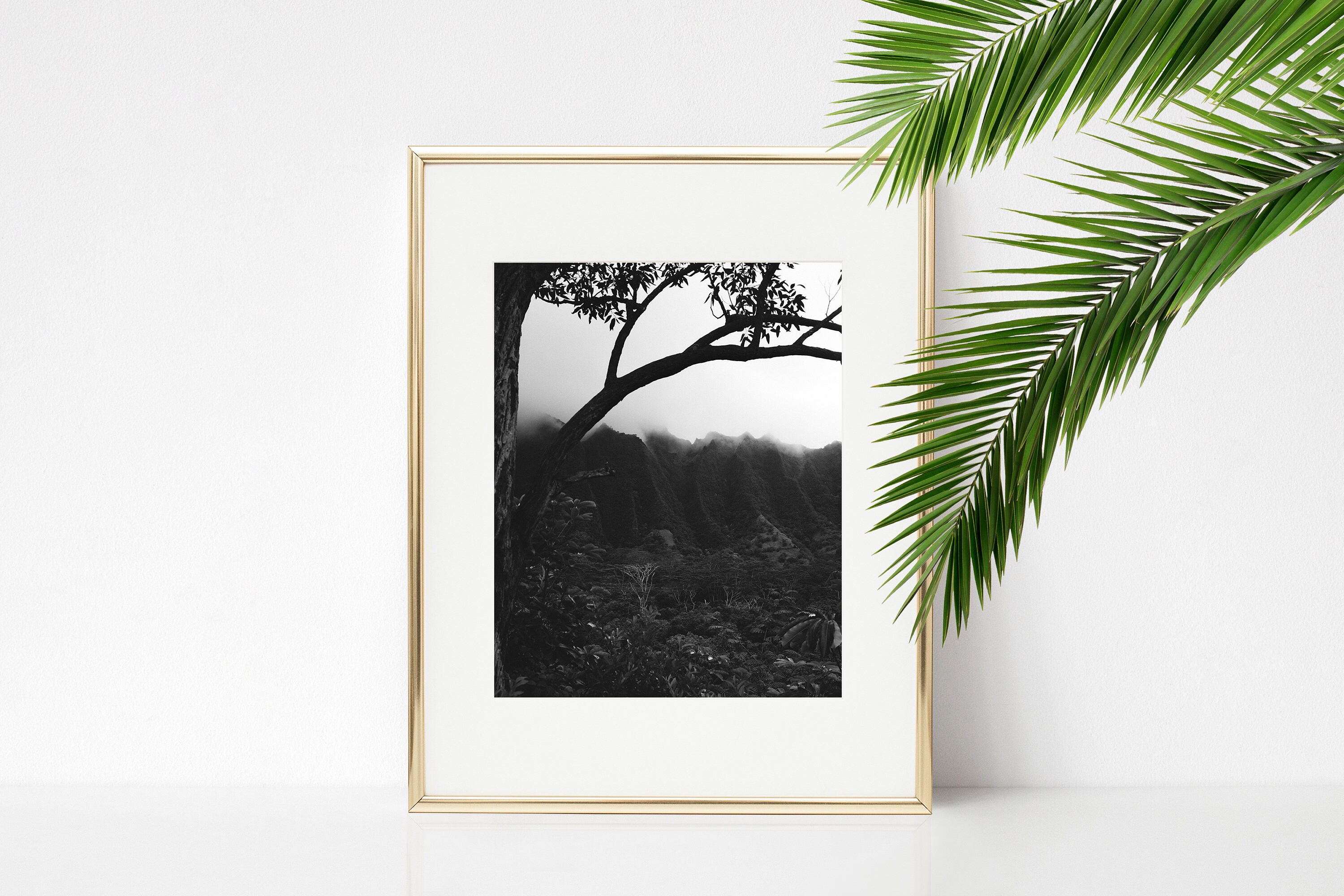 Hawaii Wall Art Hawaiian Decor Forest Photography Black and | Etsy