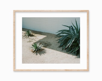 Cactus Wall Art / California Wall Art / Tropical Plant Print / Art Deco Poster