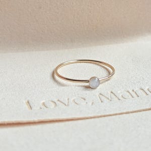 Bague de crémation Ever en or 14 carats, bijoux souvenir souvenir personnalisé des cendres, crémation pour animaux de compagnie