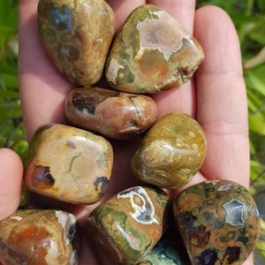 jaspe de la forêt tropicale( rhyolite)