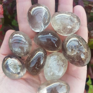 Könnte beinhalten: Eine Sammlung von acht getrommelten Steinen aus klarem und Rauchquarz. Die Steine sind glatt und poliert und haben verschiedene Formen und Größen.
