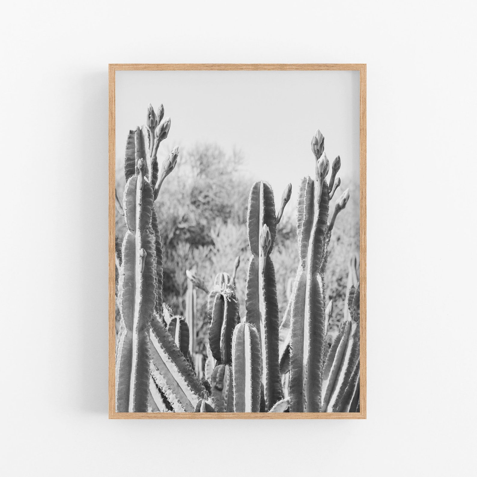 cactus painting black and white