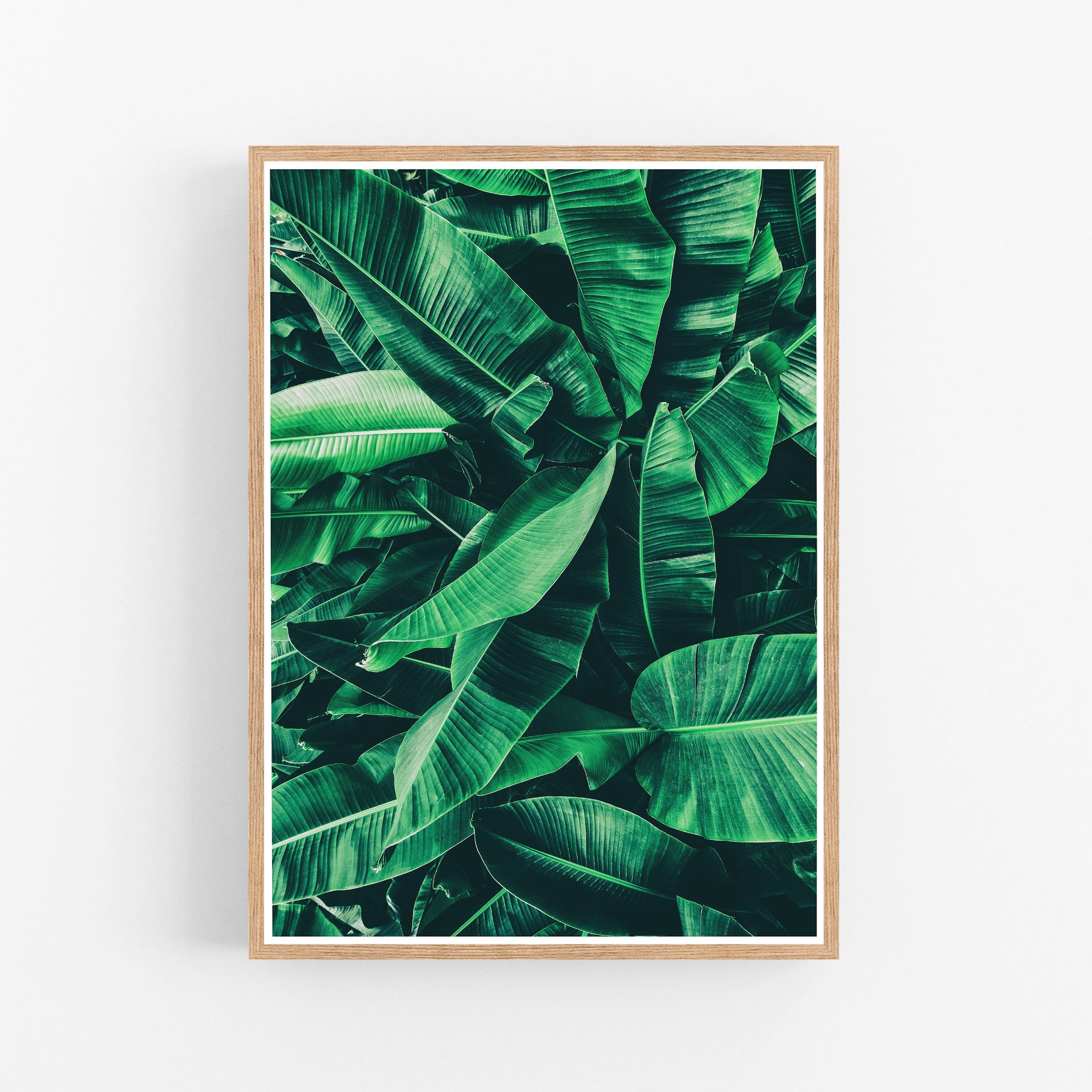Banana Leaf Art Print Banana Leaf Print Plant Wall Art Leaf Etsy