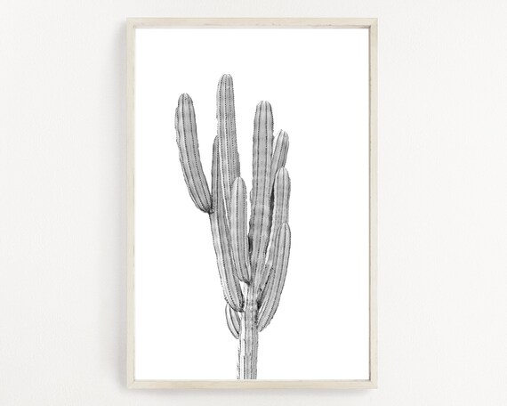 cactus painting black and white