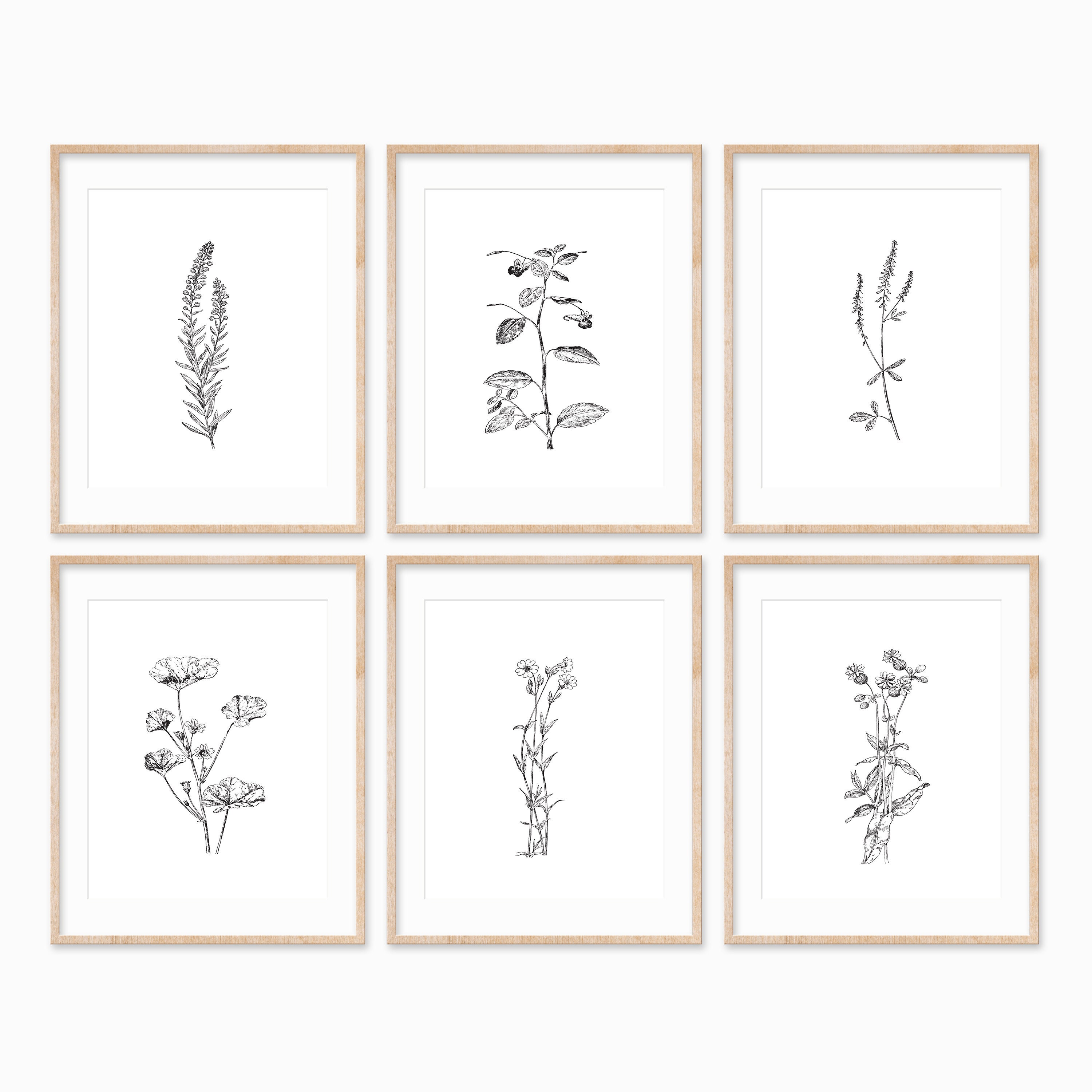 Set Of 6 Botanical Prints Botanical Art Print Set Minimal Etsy
