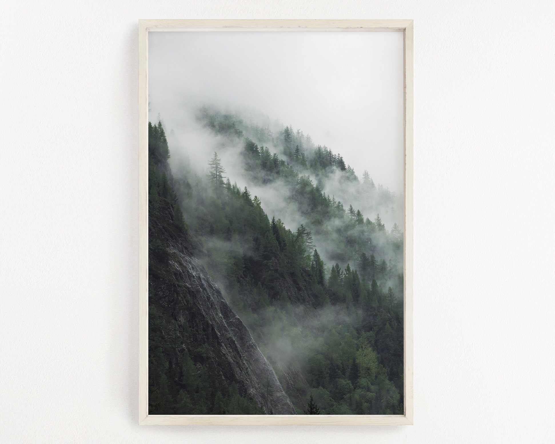 Forest Art Print Forest Photography Modern Minimalist | Etsy