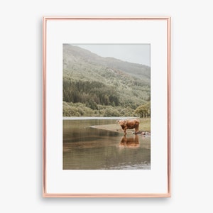 Scotland Print, Scottish Cow, Highland Cow, Loch Lomond Trossachs Print, Scottish Highlands print, Mountain Print image 2