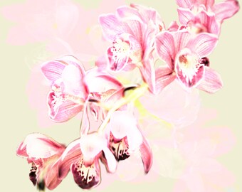 Downloadable pastel orchid placement for Mother's Day or birthday card, in 2 colours