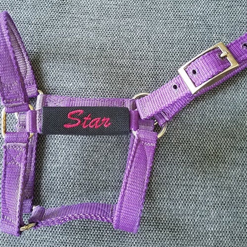 Embroidered Horse Halter Name Tag 1 Line Etsy