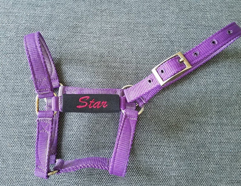 Embroidered Horse Halter Name Tag 1 Line Etsy Canada