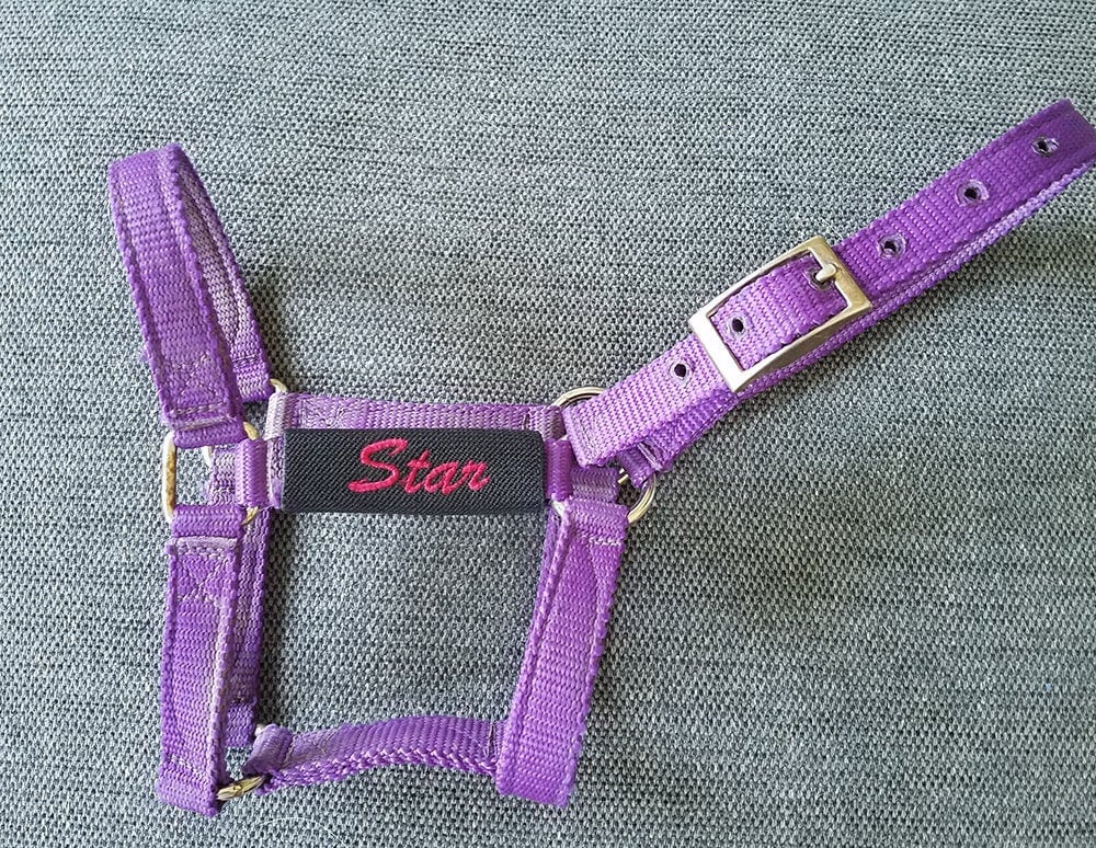 Embroidered Horse Halter Name Tag 1 Line