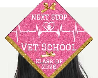 Graduation cap topper/VET SCHOOL/animal science/ vet tech/DIY/veterinarian