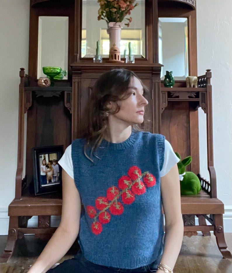 May include: A blue knitted vest with a red and green tomato design. The sleeveless top is worn over a white t-shirt. The vest is a crew neck style. The background includes a wooden cabinet and a green rabbit figurine.