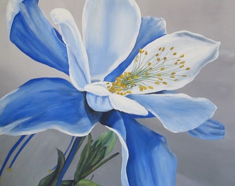 Blue Lily