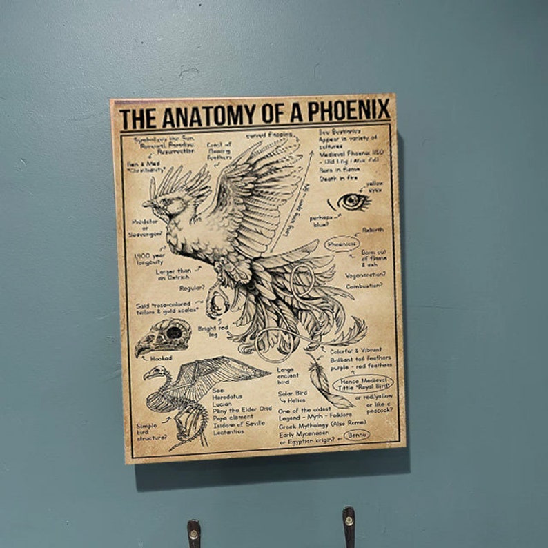 The Anatomy of A Phoenix Poster Perfect Unframed Wall Décor Etsy