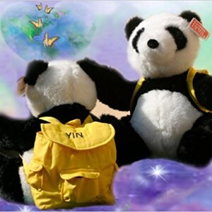 Panda bear top book bags