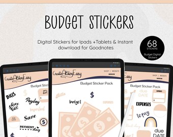 Goodnotes Budget Stickers | Digital Planner Stickers (3 Pre-cropped Sheets)
